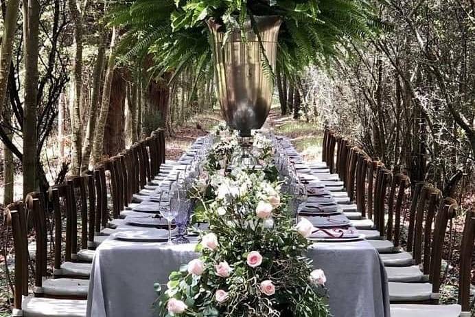 Tu día especial en el bosque