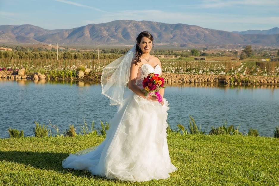 Amor en el cielo