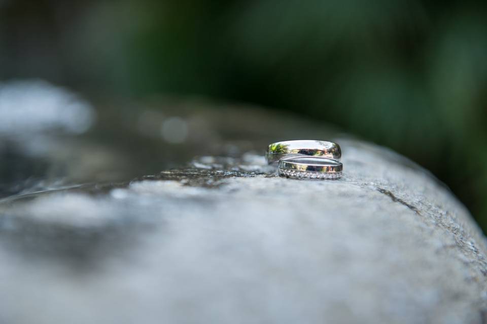 Ring, Ring