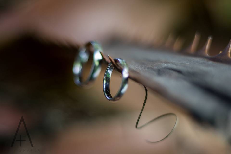 Anillos, Anillos