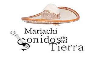 Mariachi Sonidos De Mi Tierra