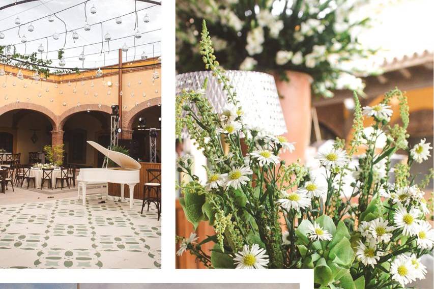 Boda Patio Interior y Jardín