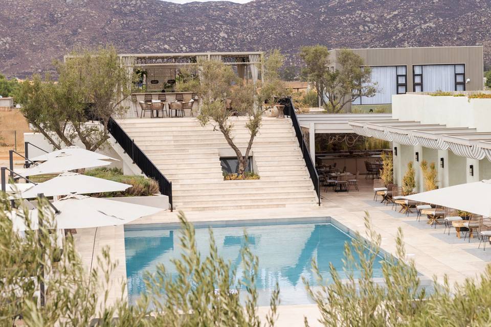 Terraza