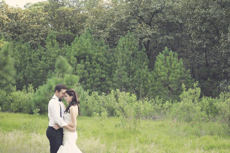 Trash the dress