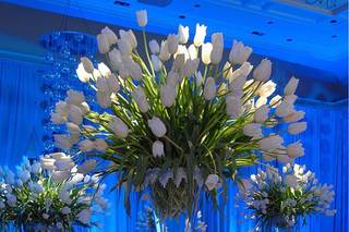 Eventos Pergon