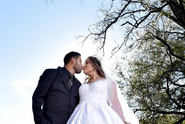Novios besándose en el jardín