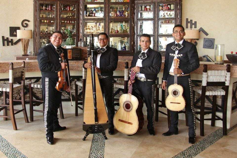 Grupo Musical Soy México