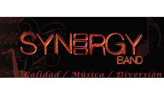 Synergy Band logo