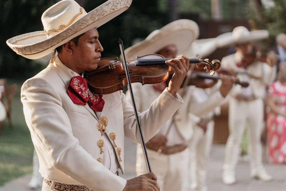 Mariachi