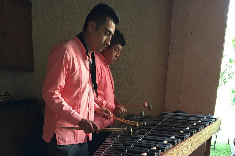 Marimba