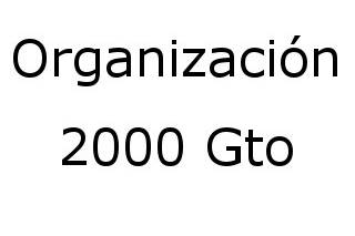 Organización 2000 Gto