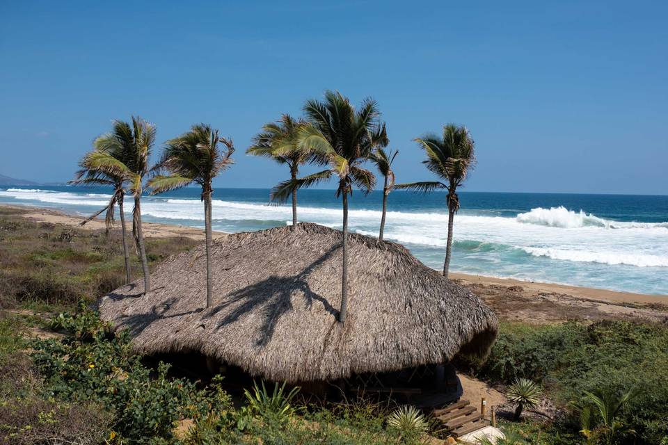 Playa viva