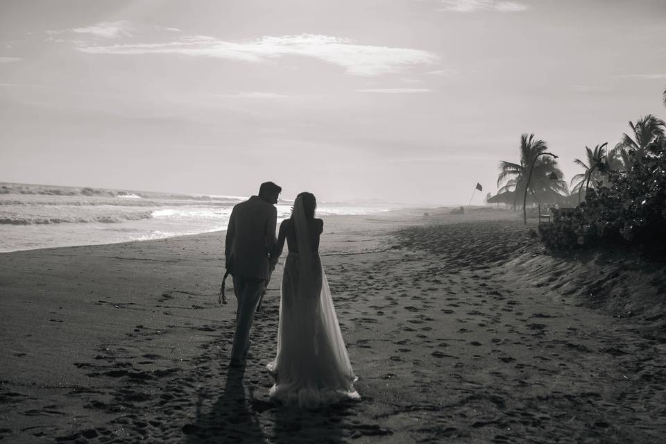 Playa viva