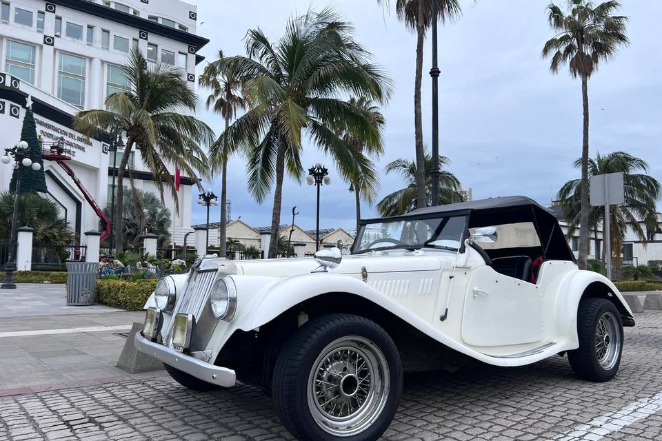 MG TF 1954