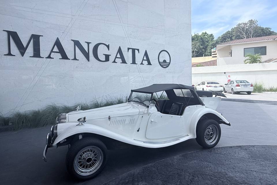 MG TF 1954