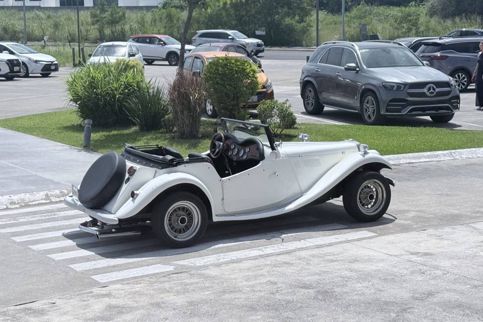 MG TF 1954