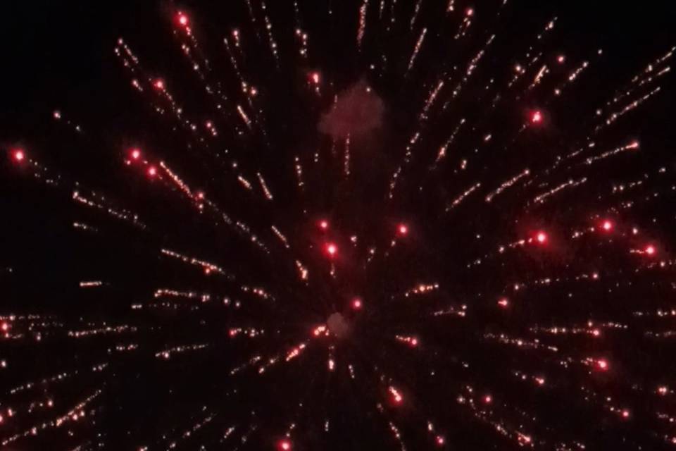 Crisantemos rojos