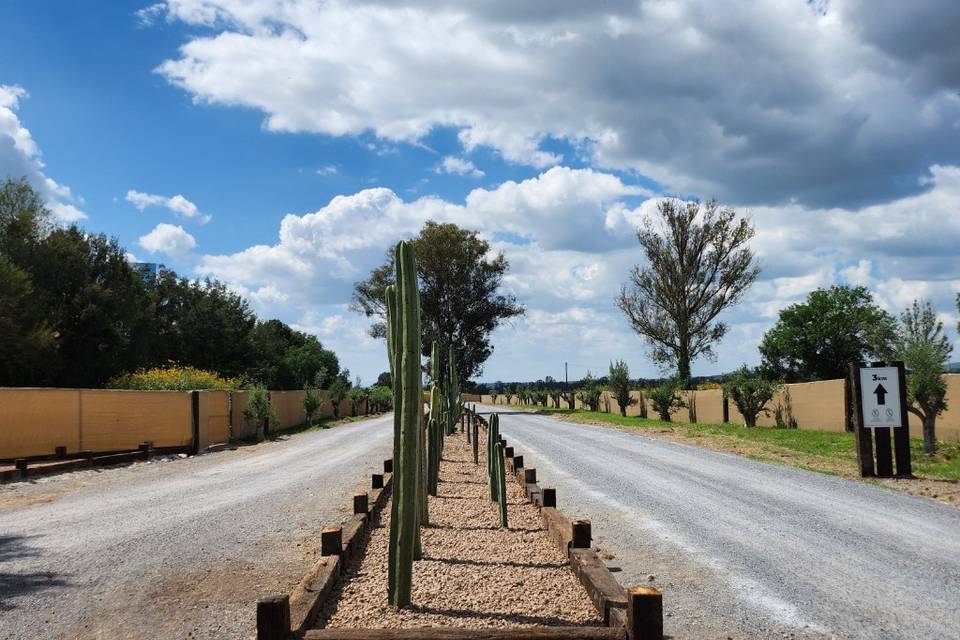 Camino Entrada