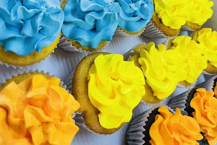 Cupcakes de colores