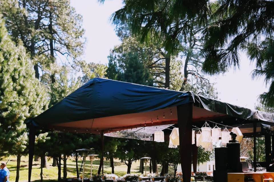 Dos arbolitos