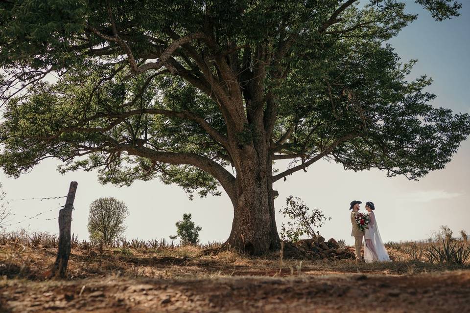 Nazul Acevedo Fotografía