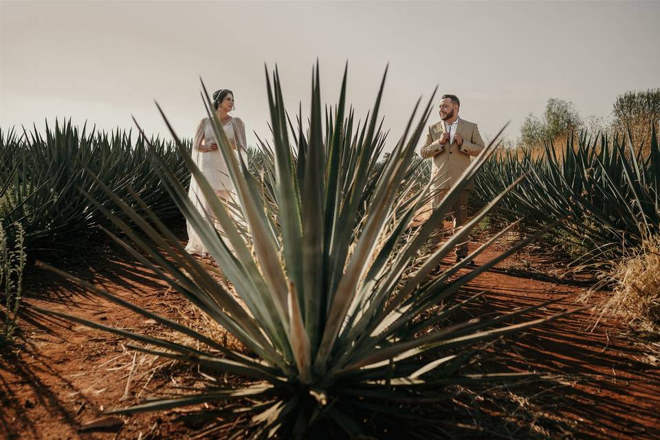 Nazul Acevedo Fotografía