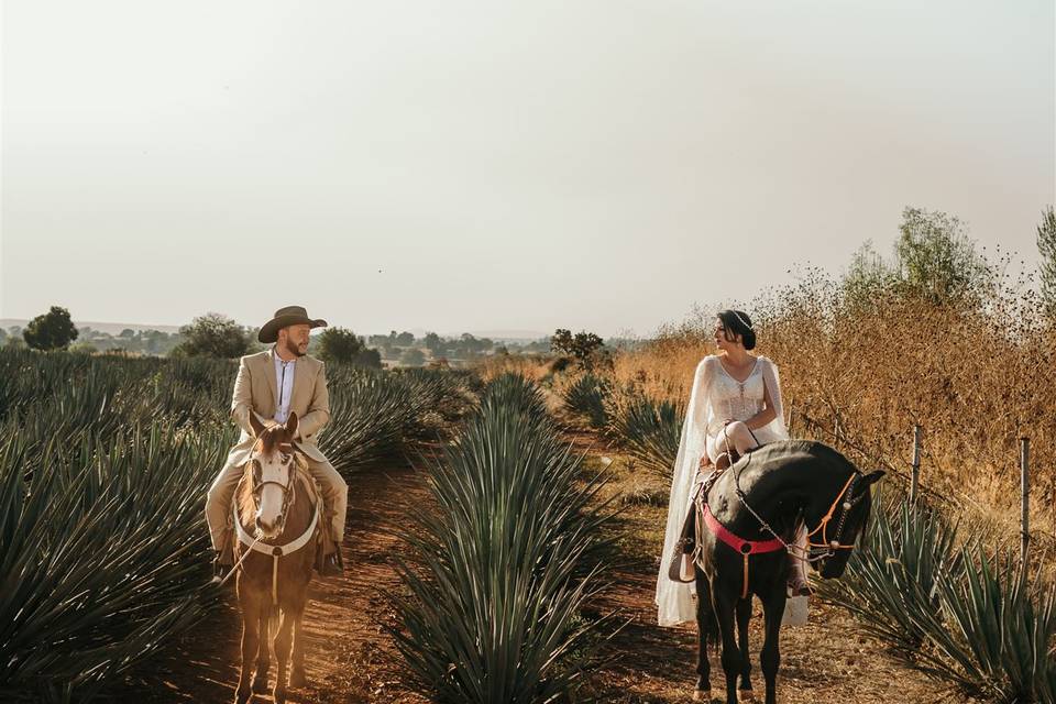 Nazul Acevedo Fotografía