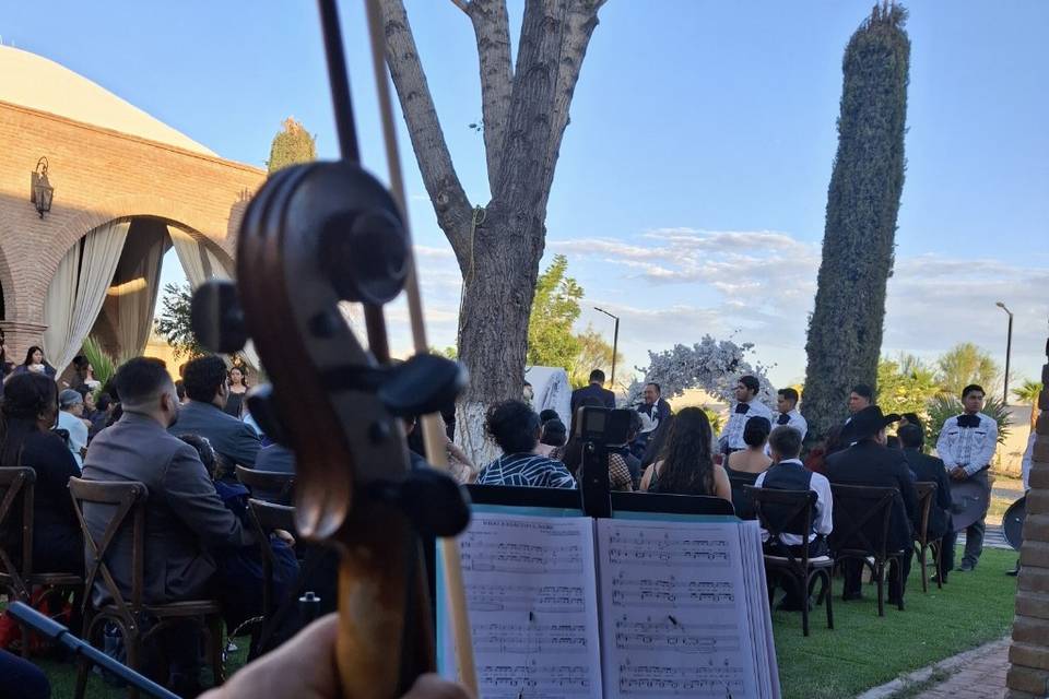 Violin y Cello Dueto