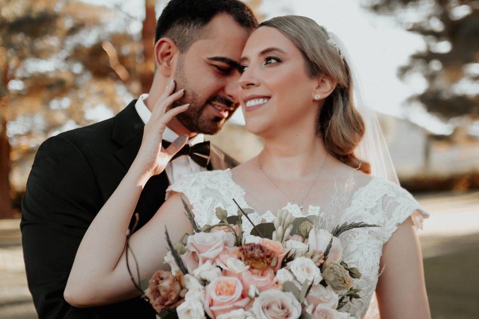 Novios