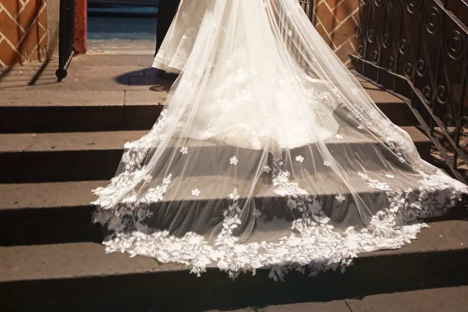 Novia con Velo catedral