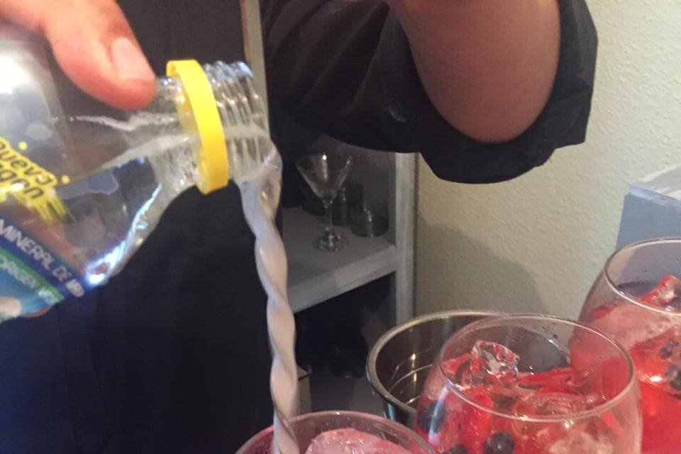 Barra de gin&tonic fruto rojo