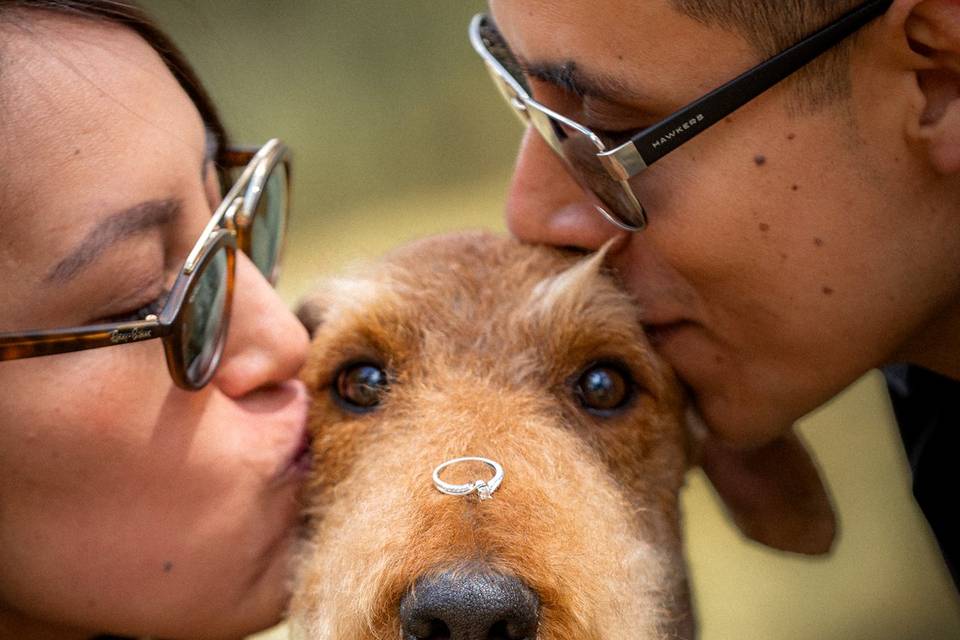 Pareja besando a su perrito