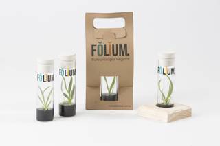 Folium