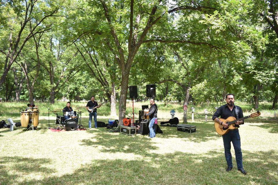 Música en vivo