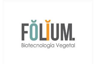 Folium