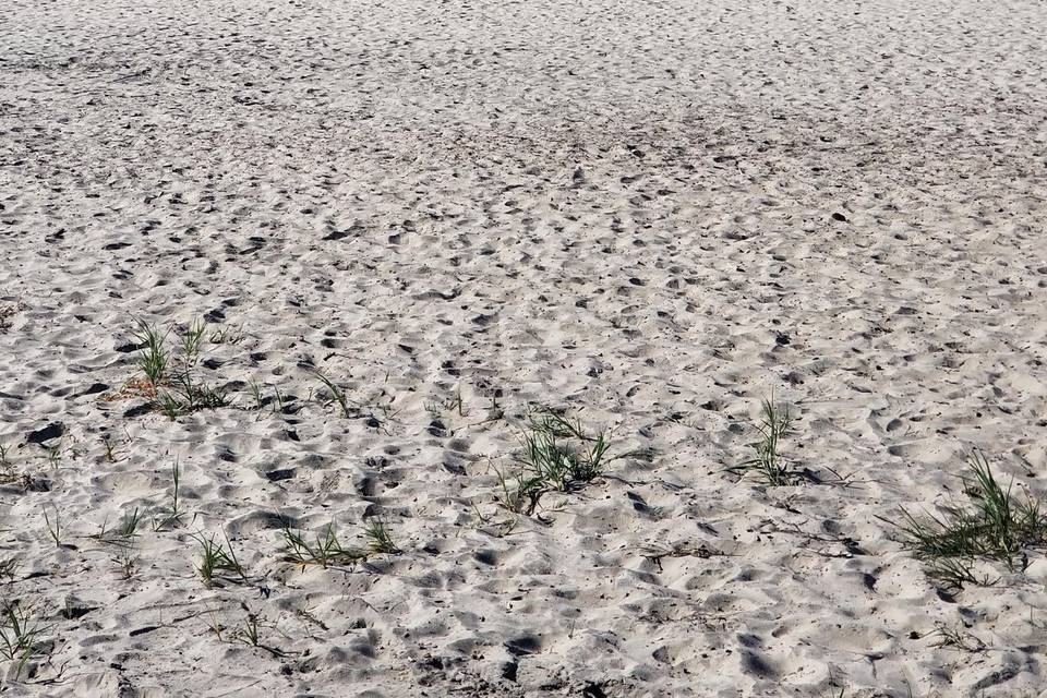 A 5 minutos de la playa