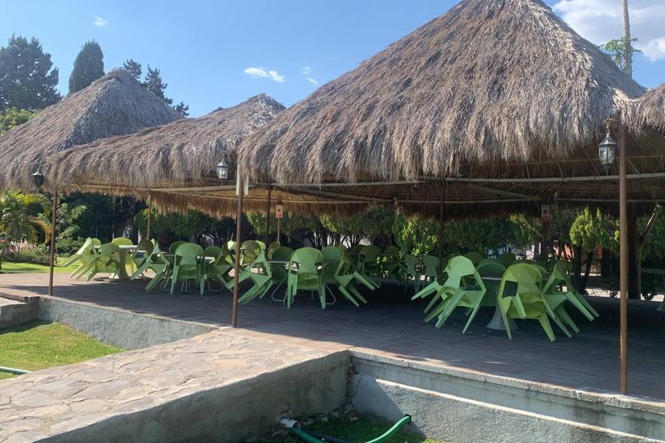 Palapa