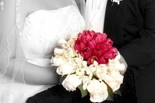 Miradas que cautivan