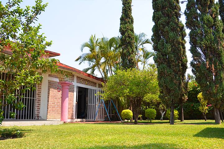 Jardin