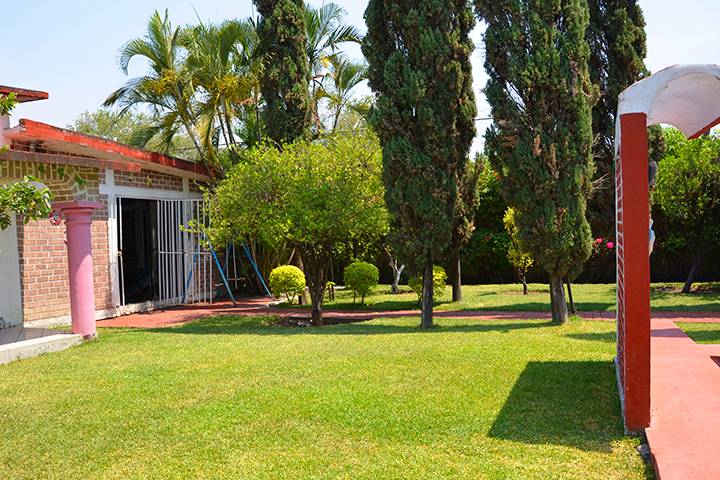 Jardin
