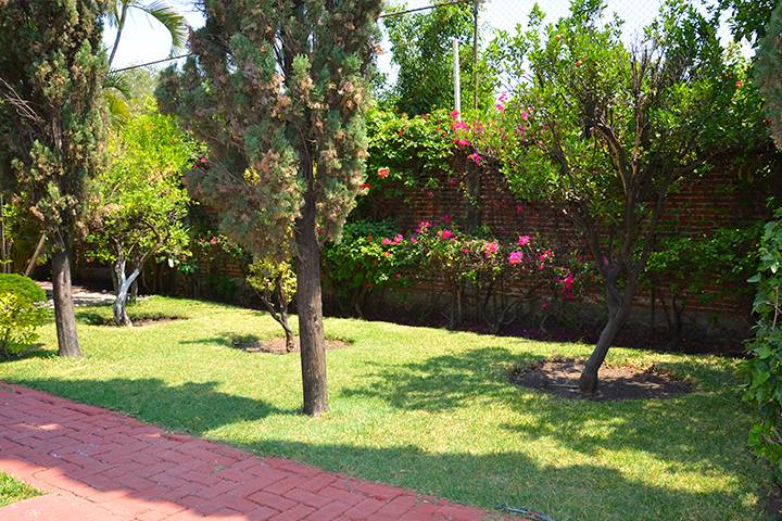 Jardin