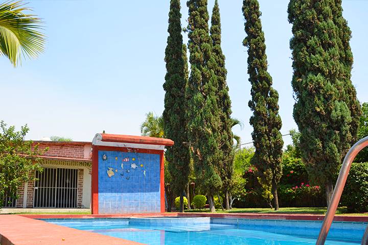 Jardin