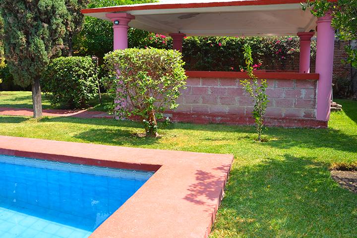 Palapa