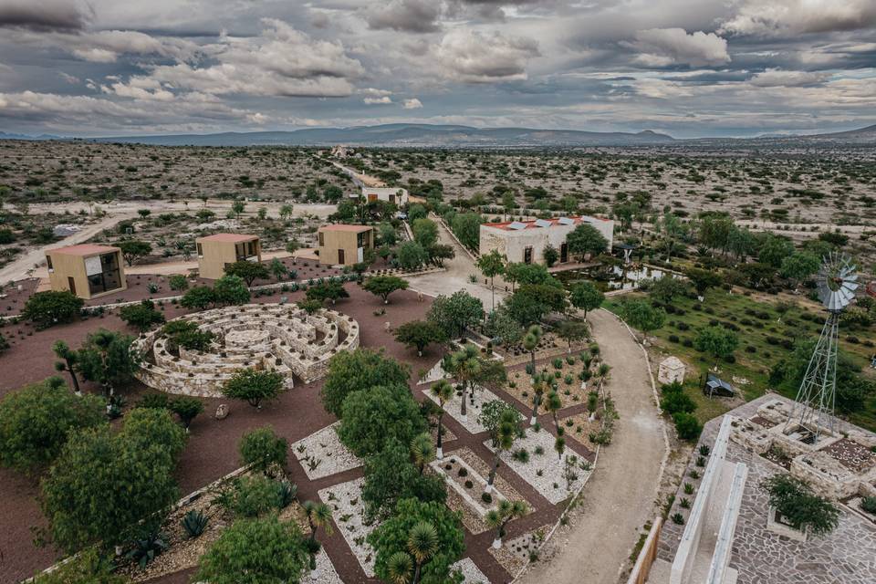 Laberinto y cactus