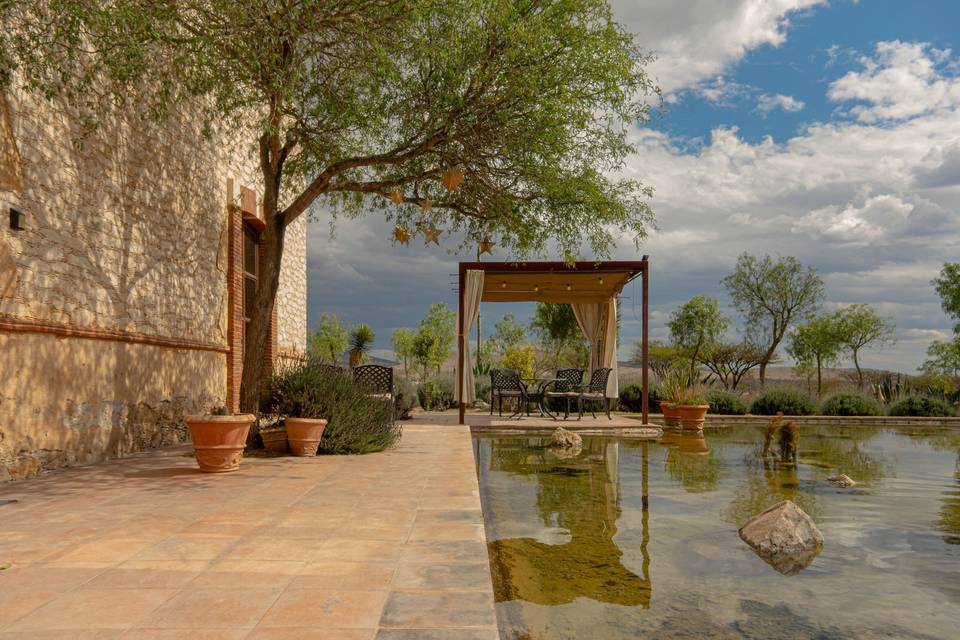 Terraza junto al estanque