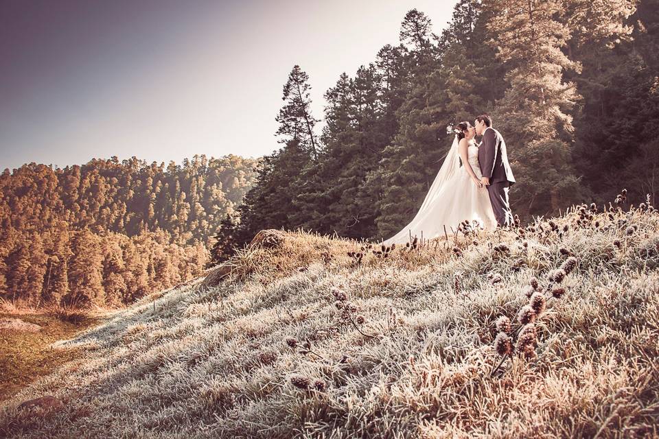 Trash The Dress