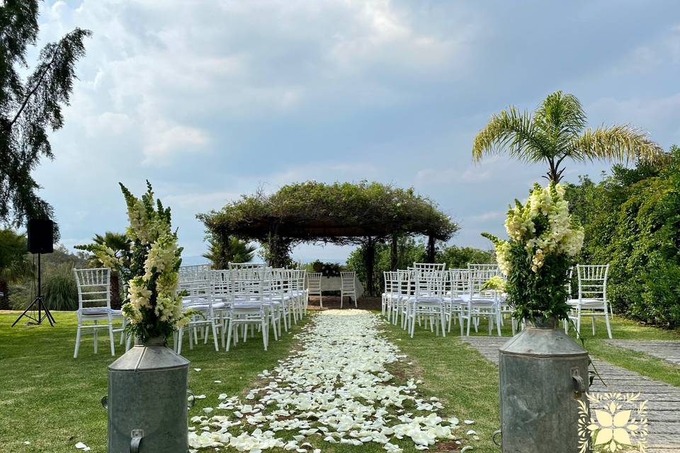 Boda ailyn & alejandro