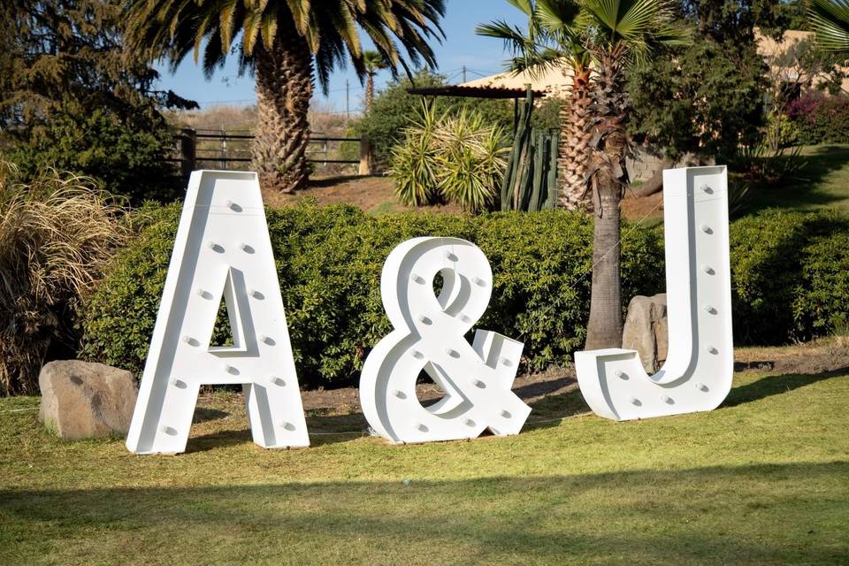 Boda alba & javi