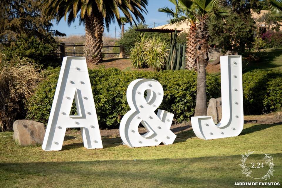 Boda alba & javi