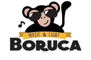 Boruca Logo